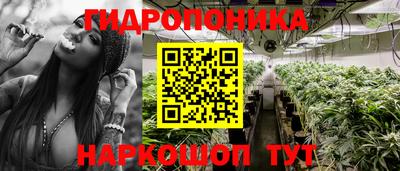 молекула духа Кинель