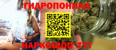 герыч Кингисепп